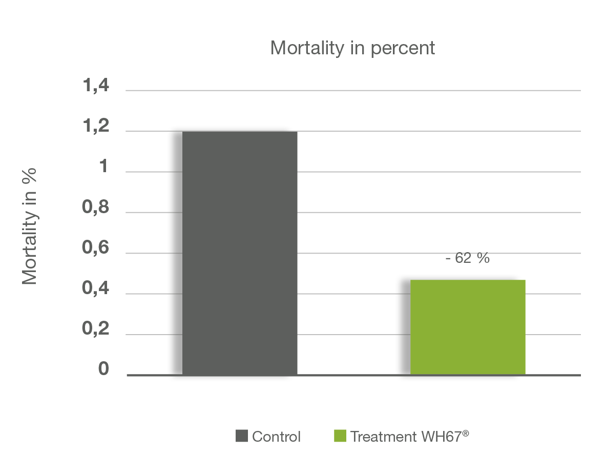 Turkey_Mortality